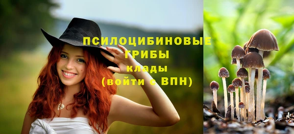 прущие крисы Долгопрудный
