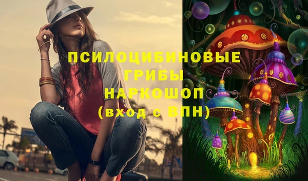 дживик Нея