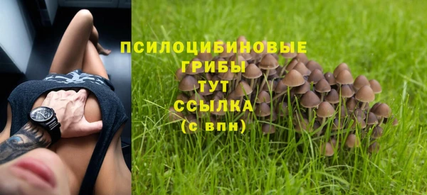 дживик Нея