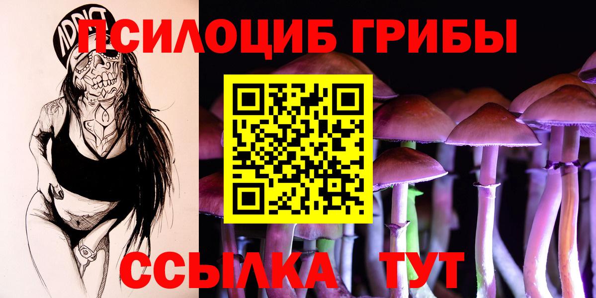 Галлюциногенные грибы прущие грибы Сарапул