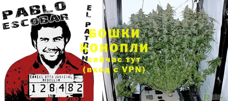 Конопля Ganja  blacksprut маркетплейс  Сарапул 